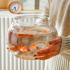 Newpol bowl clear PET material close-up—durable, safe construction for reliable daily use.