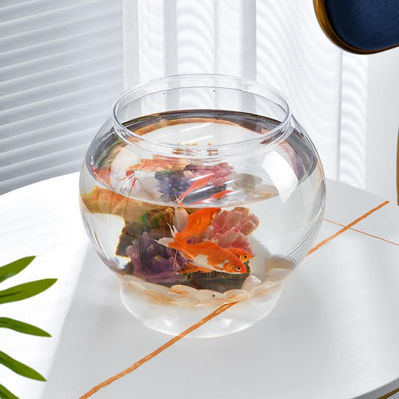 Newpol bowl gift-ready packaging—great gift option for kids and friends.
