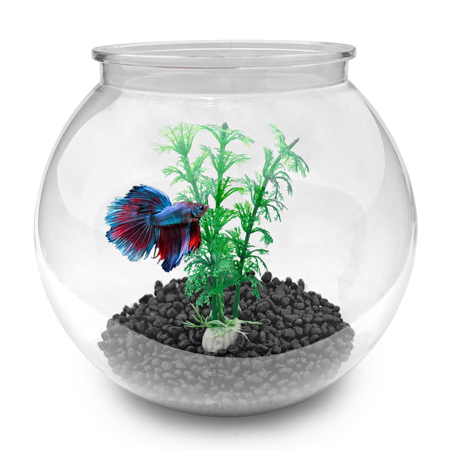 Newpol Mini Aquarium Bowl front view shows compact desk-friendly design for small spaces