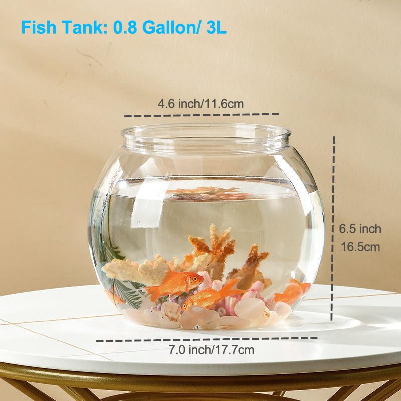 Newpol mini aquarium starter kit top view highlights trendy design for small spaces.