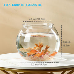 Newpol mini aquarium starter kit top view highlights trendy design for small spaces.