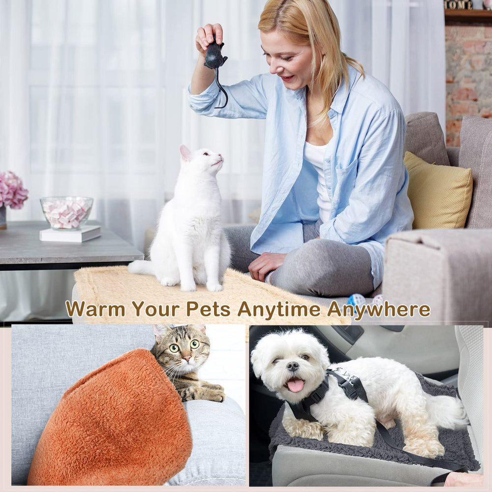 Newwiee small-medium-pets blanket used outdoors during travel.