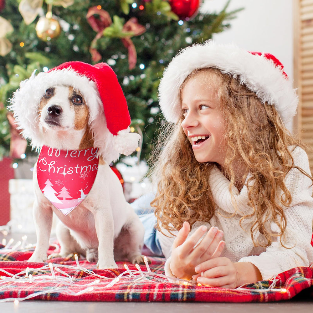 Newwiee dog bandana in party setting for photos and festive occasions
