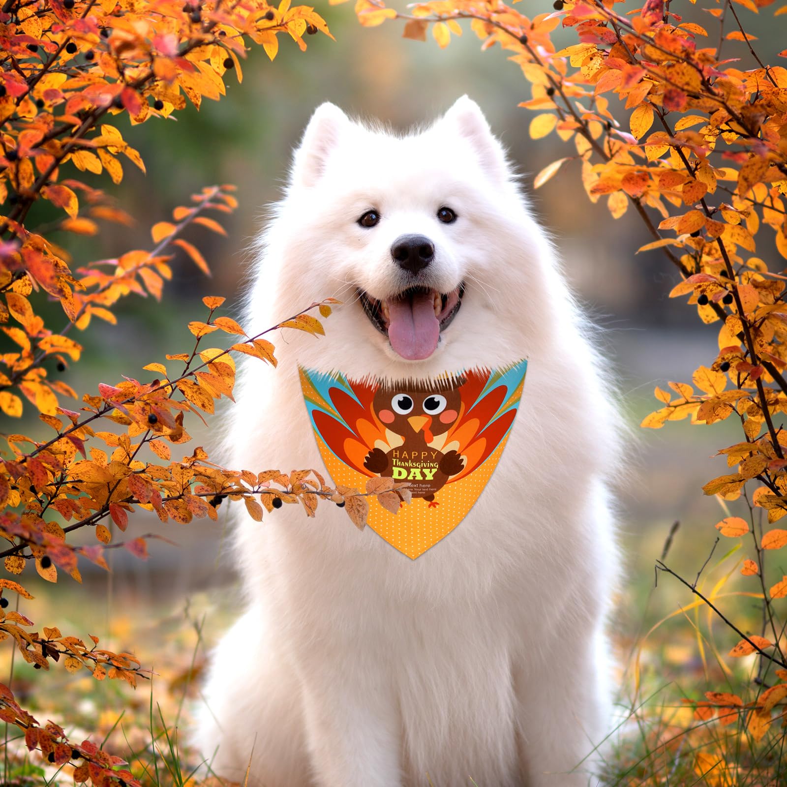 Newwiee dog bandana in-use at a party for added pet charm