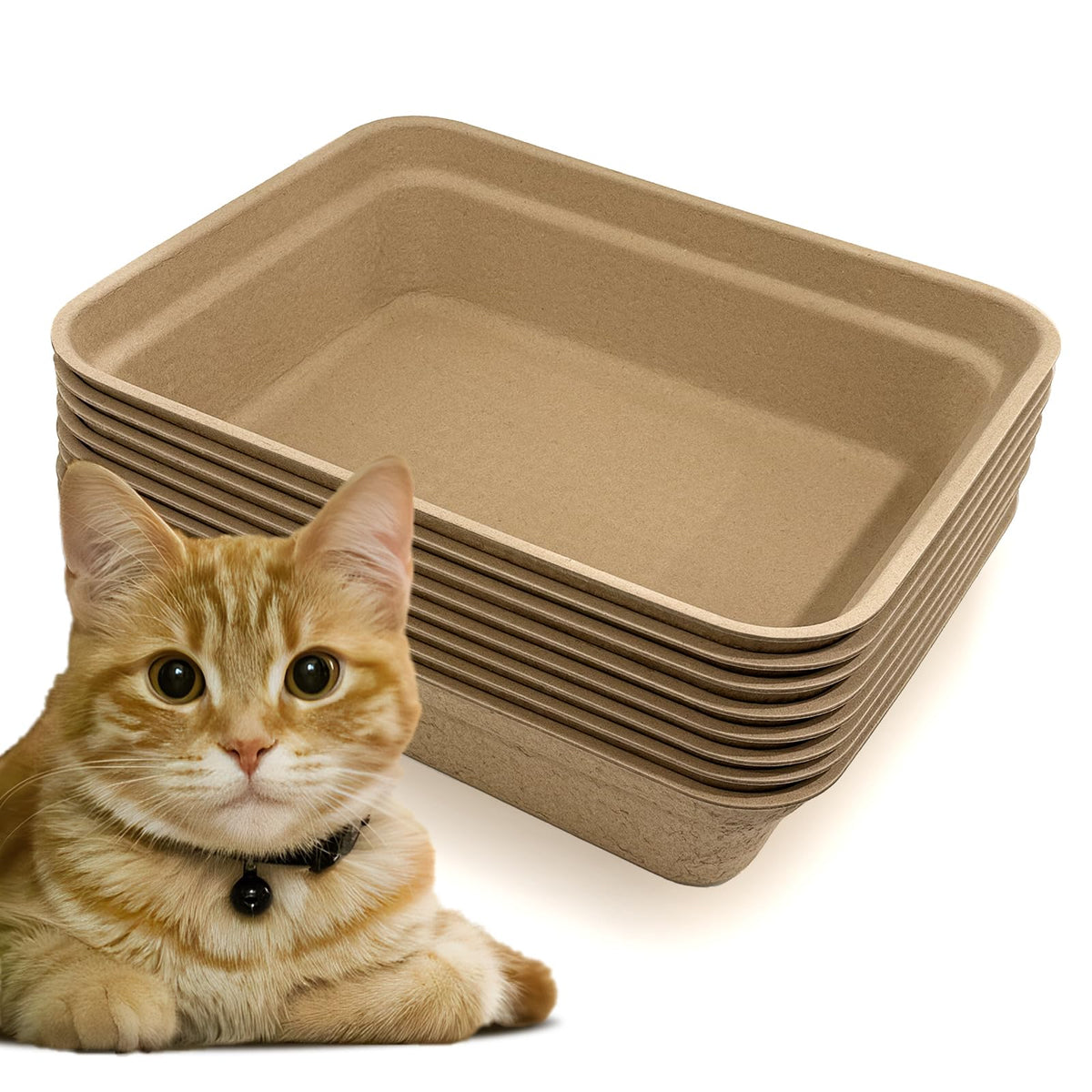 Nexboraque 8-pack packaging shows value and convenience for busy pet households.