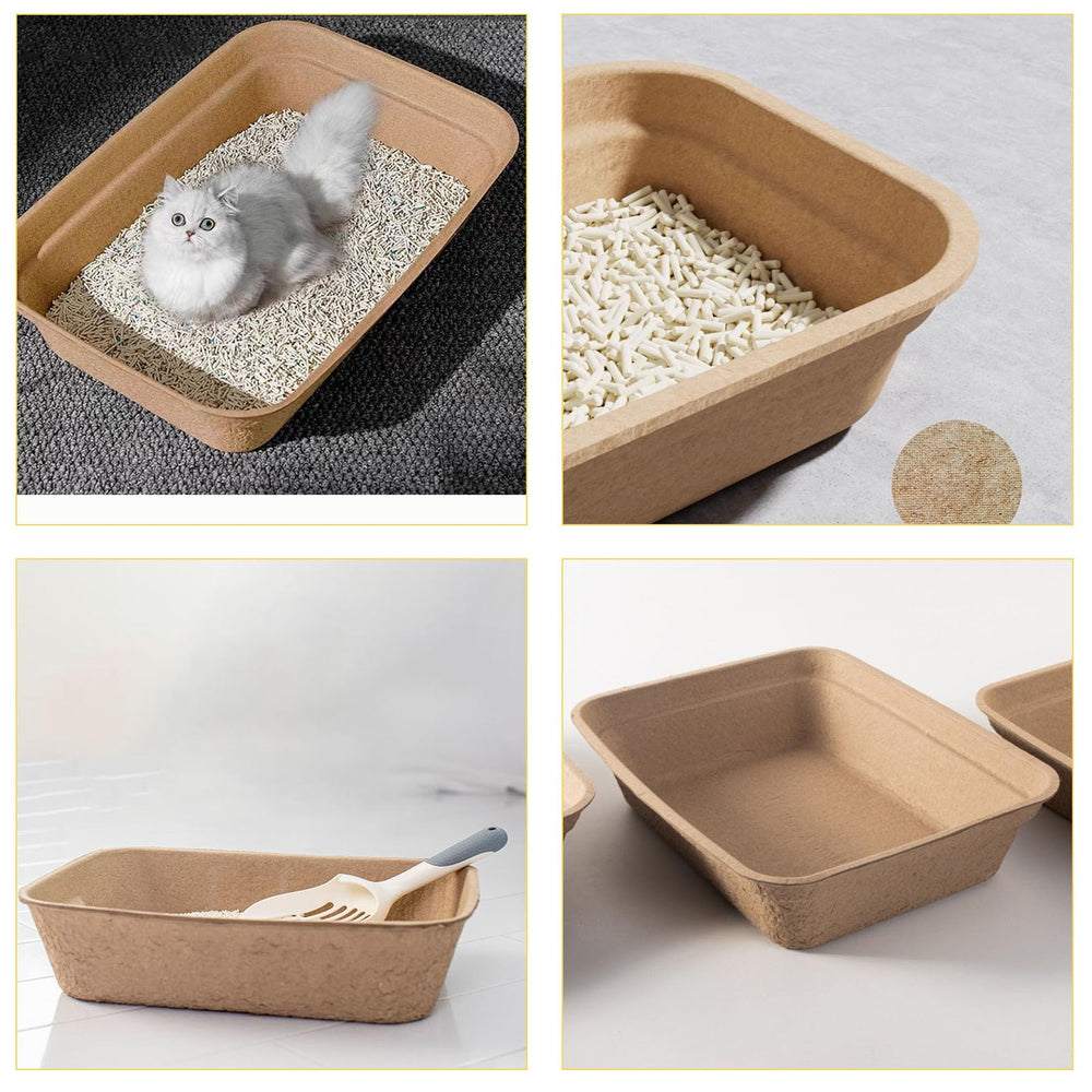 Nexboraque all-pets kit demonstrates versatile home solution.
