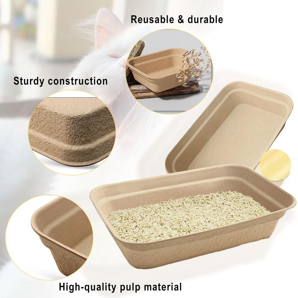 Nexboraque pulp-safe material highlights sturdy, odorless daily use.