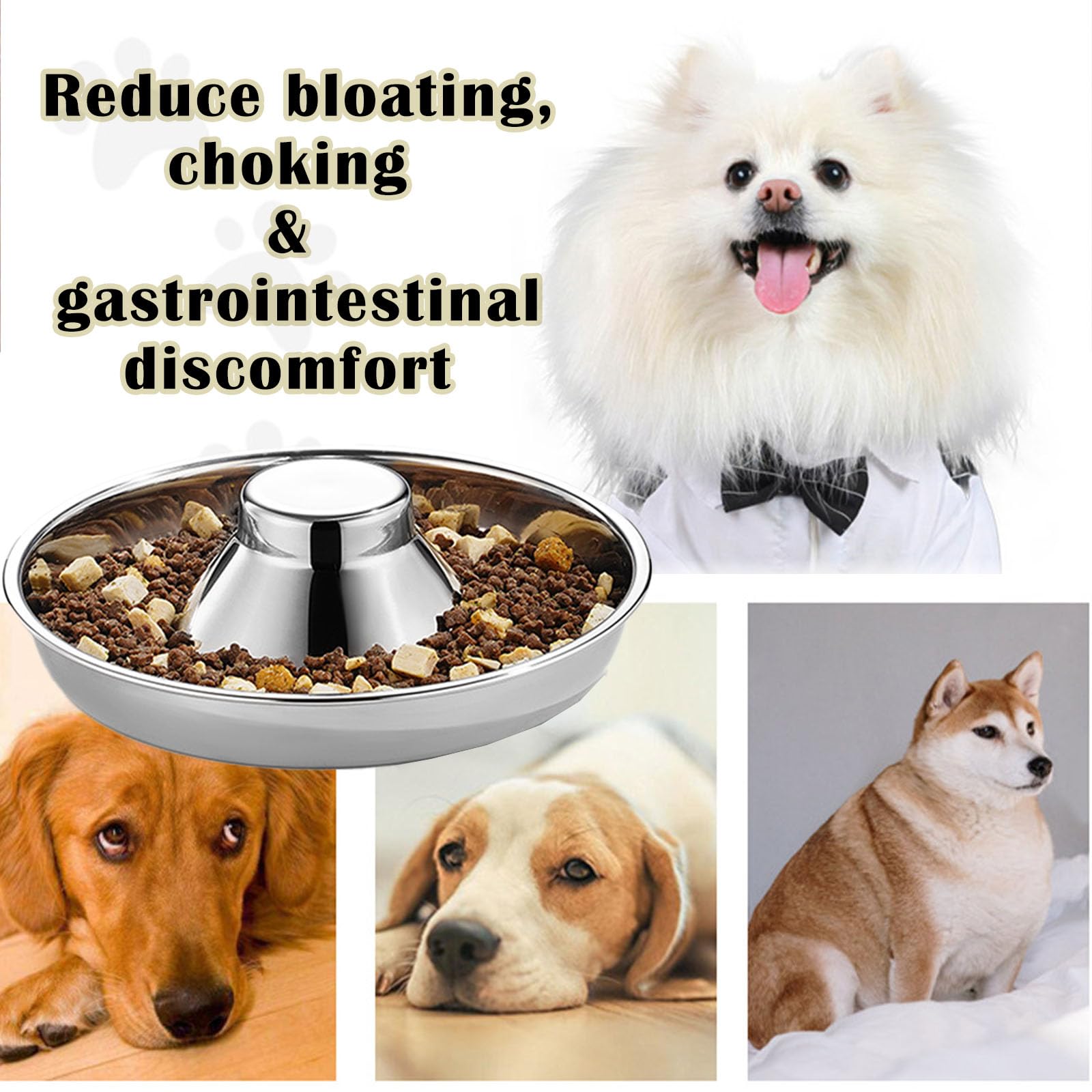 Nexboraque puppy bowl non-slip base prevents sliding during meals.