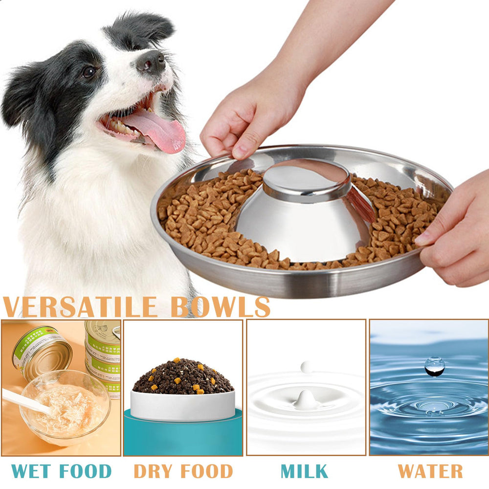 Nexboraque puppy bowls dishwasher-safe for easy cleaning after meals.