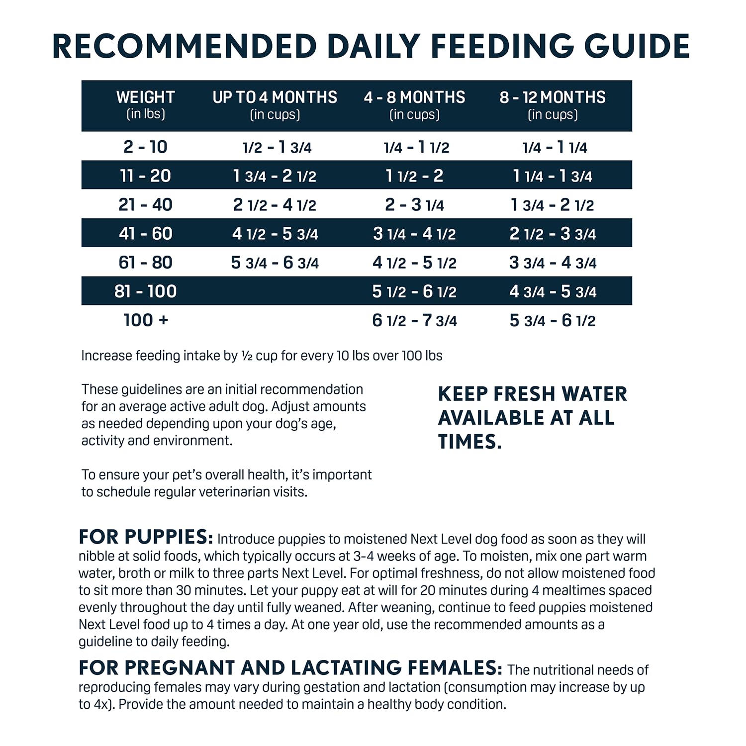 Next Level HI-PRO Puppy small breed meal setup demonstrating portion-ready feeding.