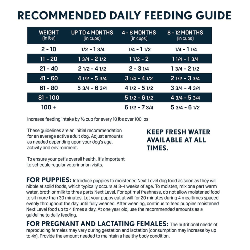 Next Level HI-PRO Puppy small breed meal setup demonstrating portion-ready feeding.