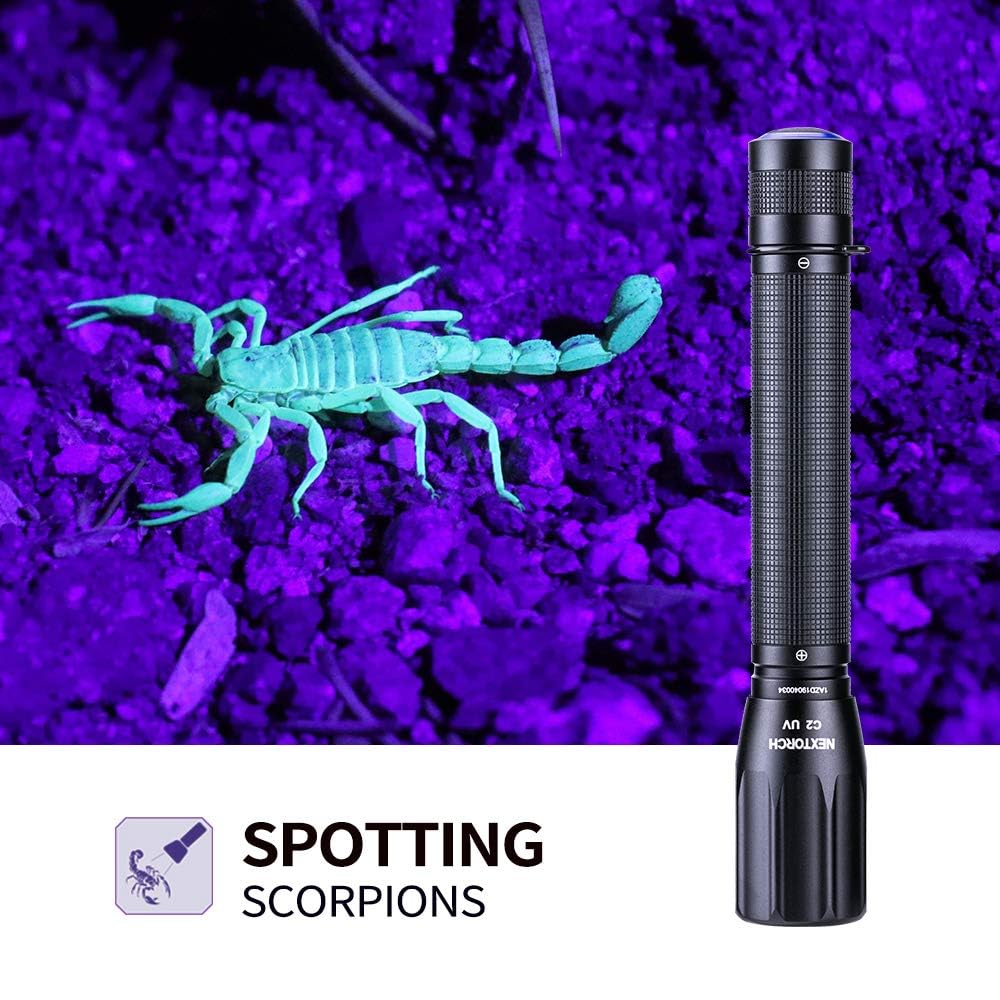 NEXTORCH C2UV 405nm UV light on in use reveals stains