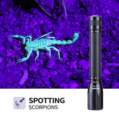 NEXTORCH C2UV 405nm UV light on in use reveals stains