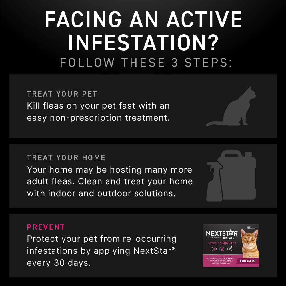 NEXTSTAR six-month supply label for long-term preventive care.