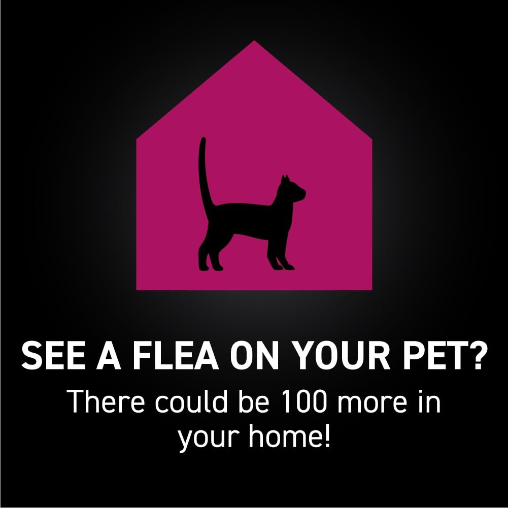 NEXTSTAR quick 15-minute kill time icon emphasizes fast flea and tick control