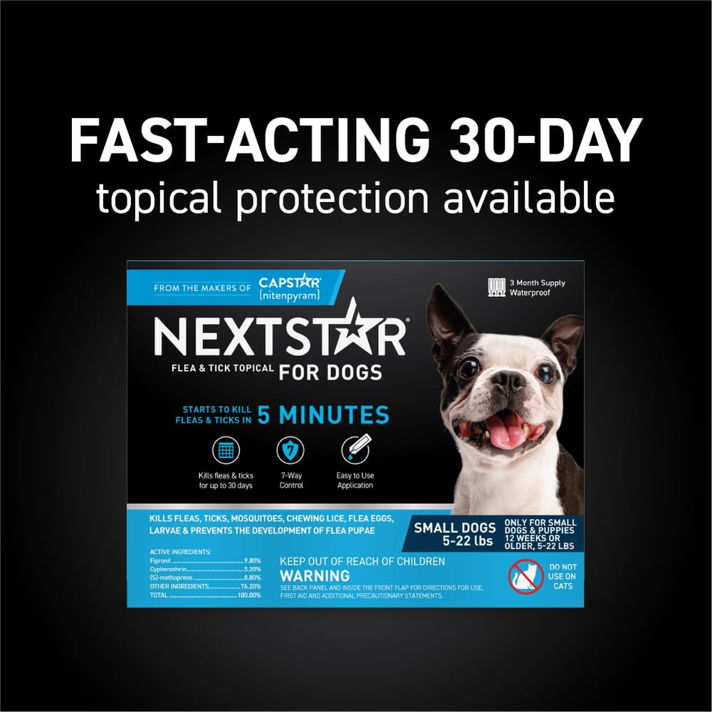 NEXTSTAR waterproof topical on a dog's coat showing protection through rain and play.