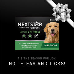 NEXTSTAR waterproof topical drops for dogs provide reliable tick and flea control even in rain.