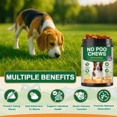 NEXZL 200 chew no poo chews served in a dish for simple feeding