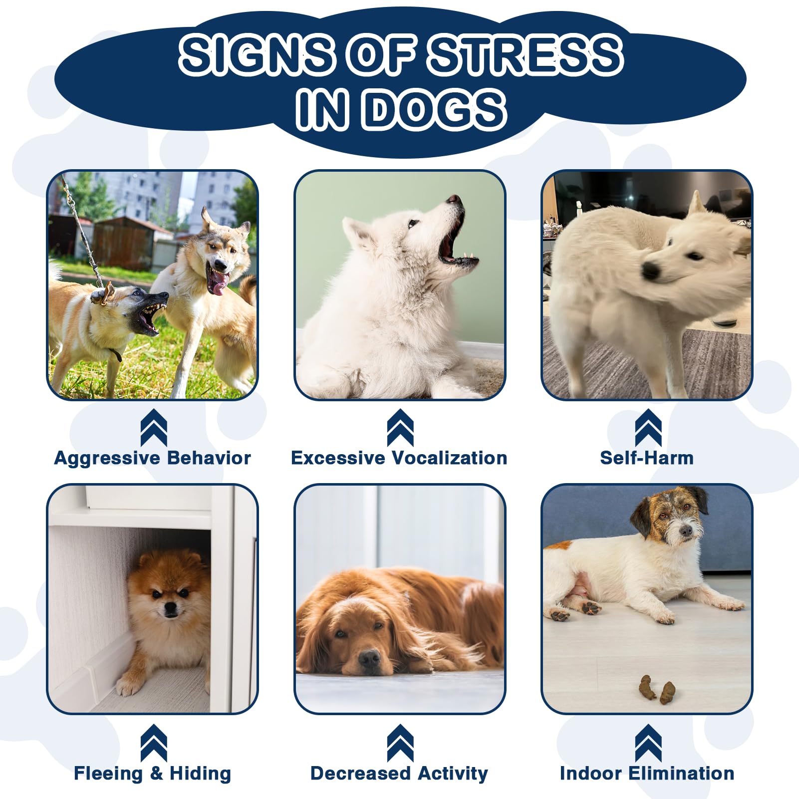 NEXZL dog calming chews help during fireworks and thunder for comforting moments.