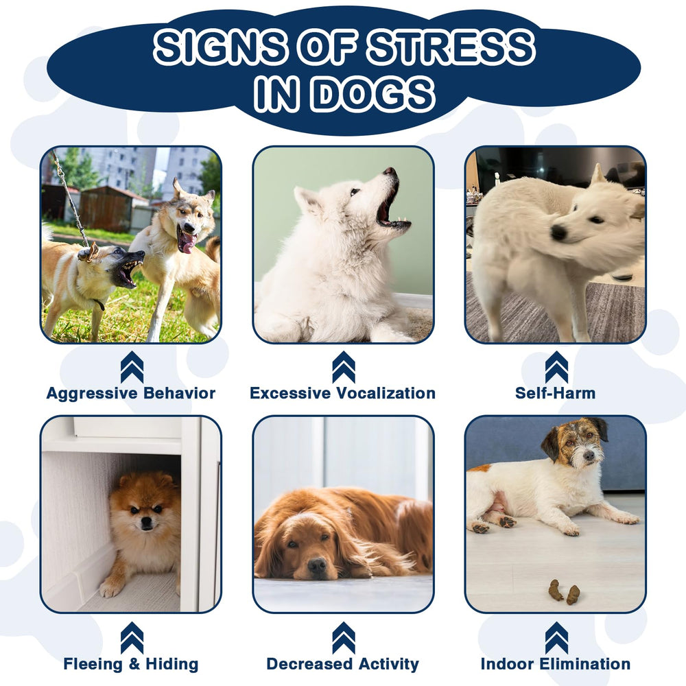 NEXZL dog calming chews help during fireworks and thunder for comforting moments.