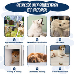 NEXZL dog calming chews help during fireworks and thunder for comforting moments.
