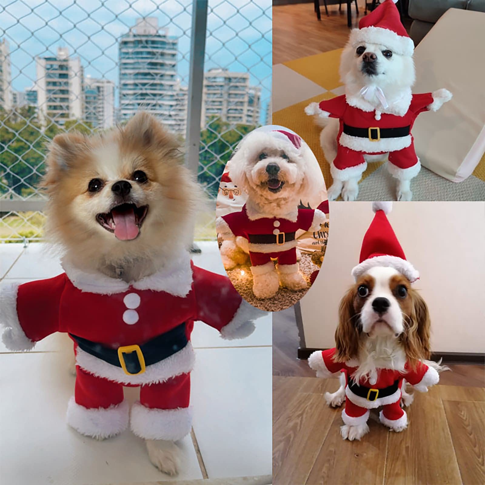 Nezababycos Dog wearing Santa costume in a family Christmas scene