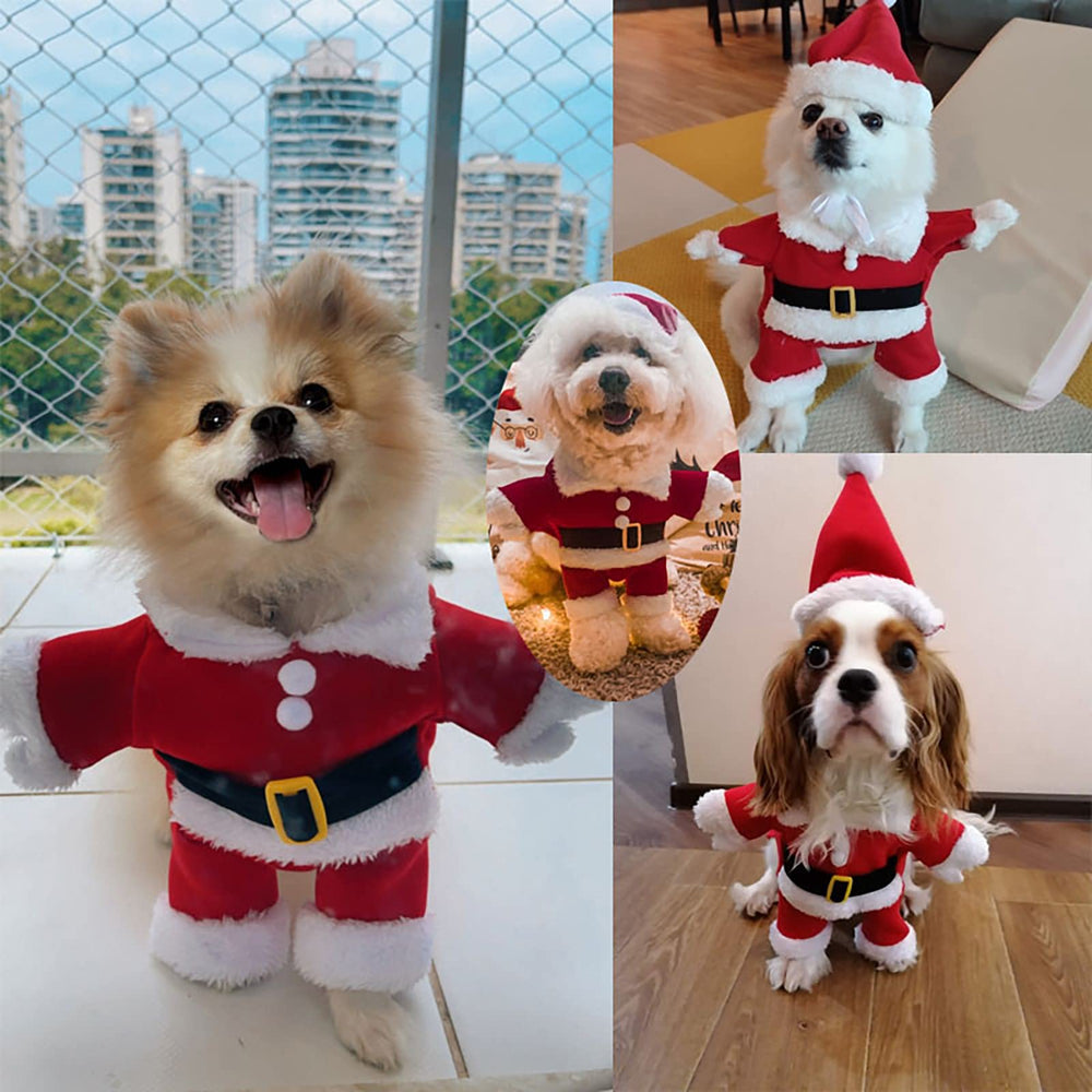 Nezababycos Dog wearing Santa costume in a family Christmas scene