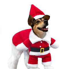 Nezababycos Dog Santa Costume red medium on a dog for festive photos