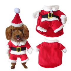 Nezababycos Dog Santa Hat red worn by a pet for cute cosplay
