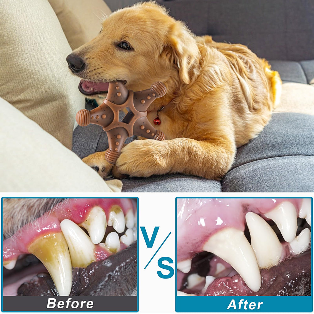 NEZIN durable chew toy for outdoor play, easy to clean after fetch.