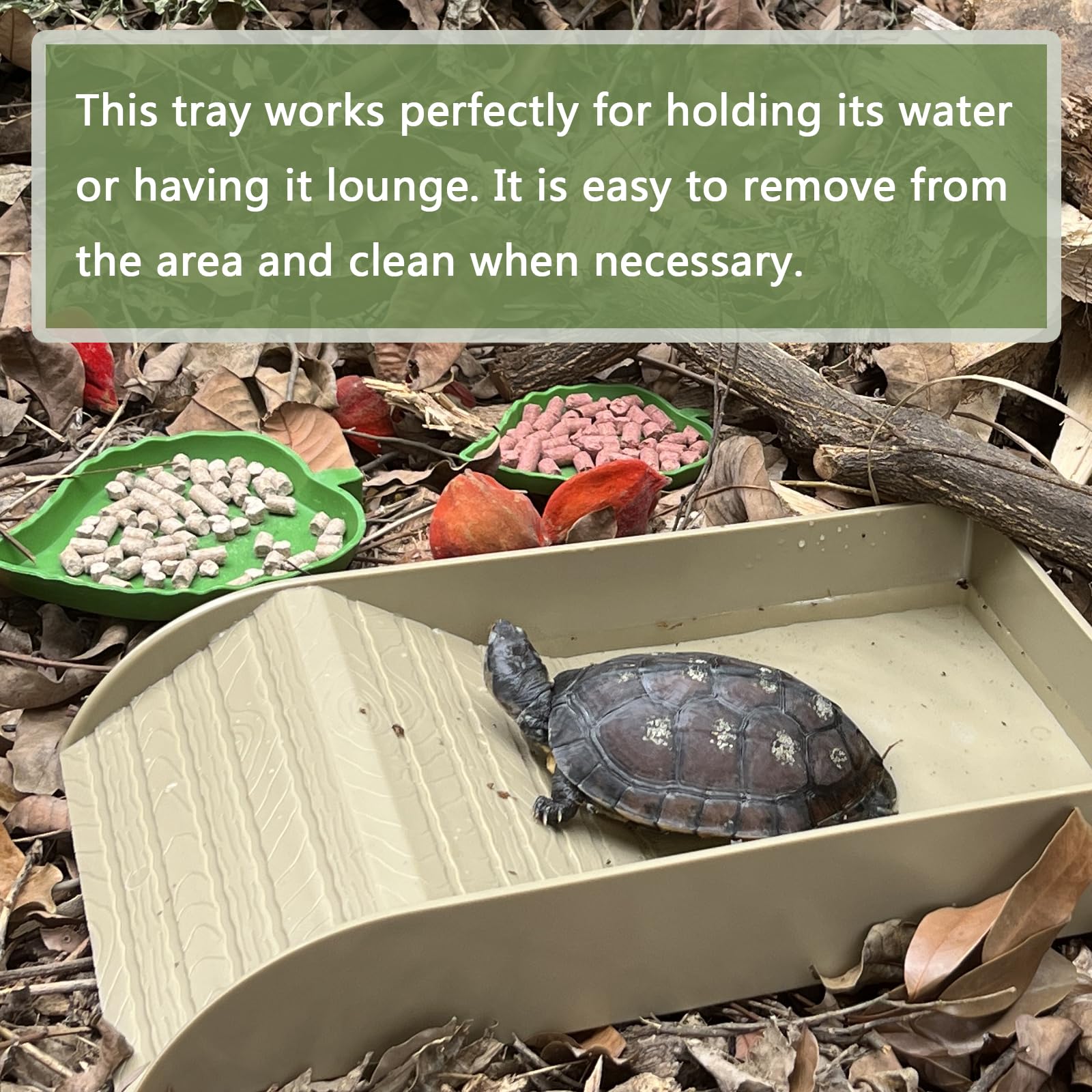 NGORAY forcep cleaning clip tortoise dish enables easy maintenance.