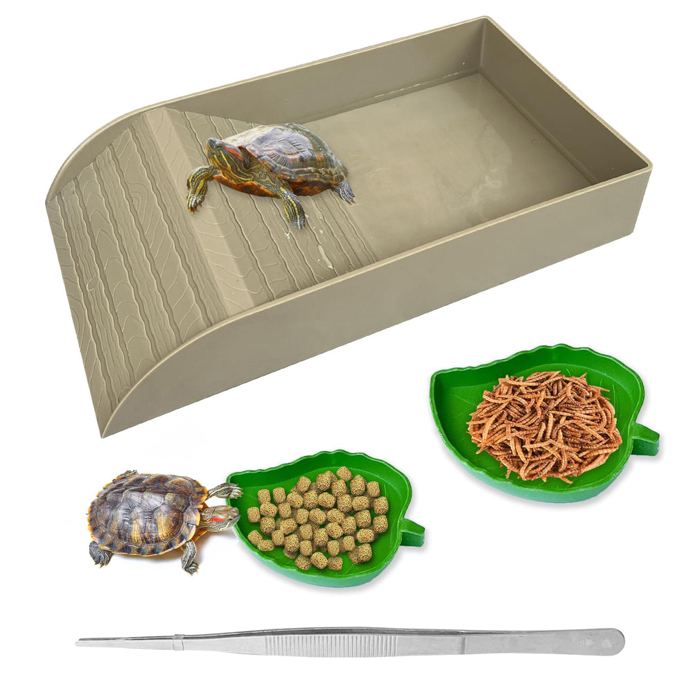 NGORAY tortoise feeding dish ramp wood texture shows easy-entry feeding.