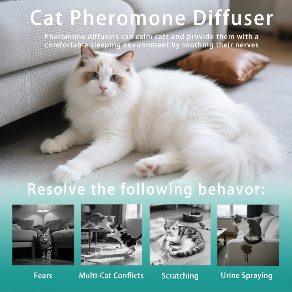NHMFMLZW multi-cat living-room setup promotes peaceful coexistence at home