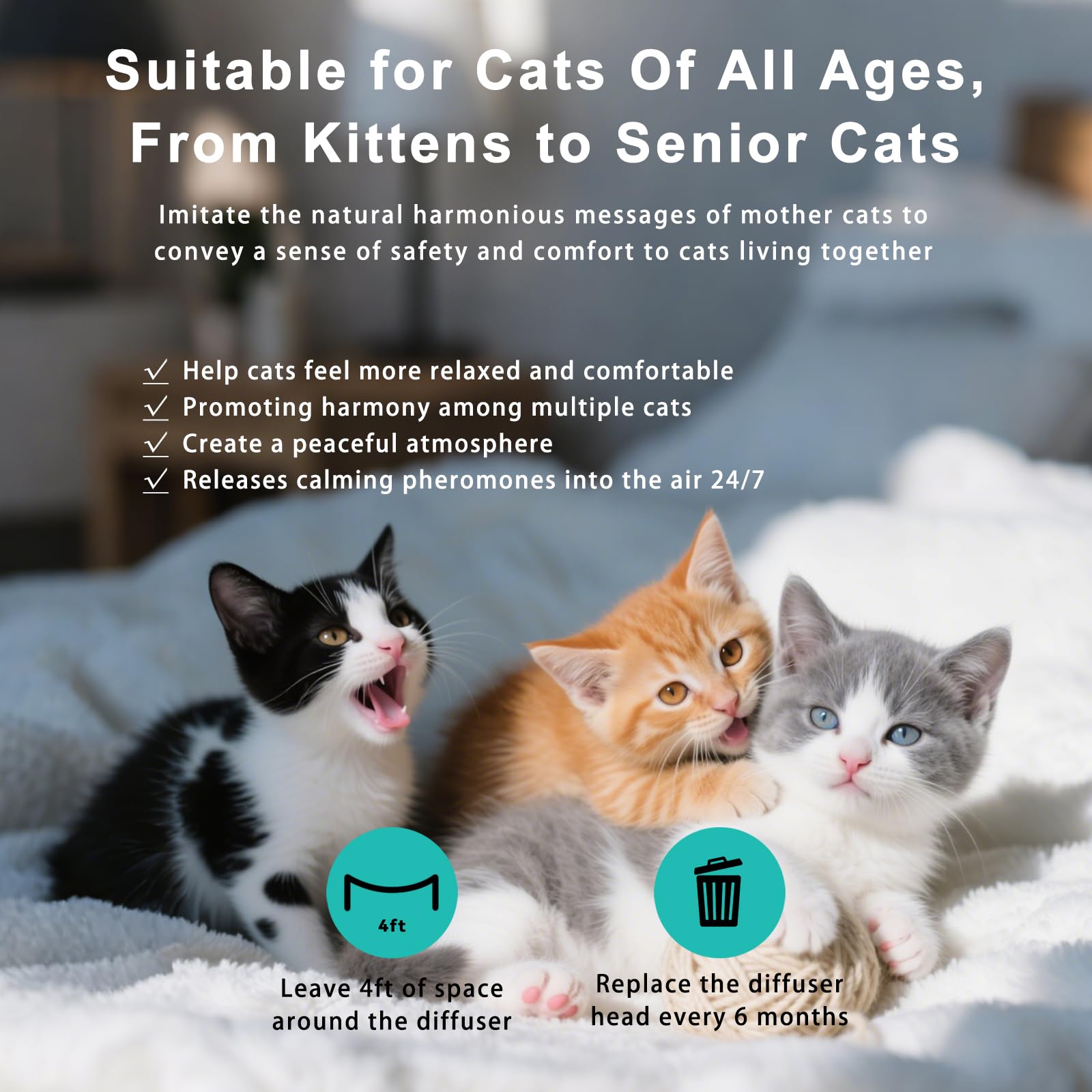 NHMFMLZW quiet kitty-relaxation scene shows unobtrusive calming in any room