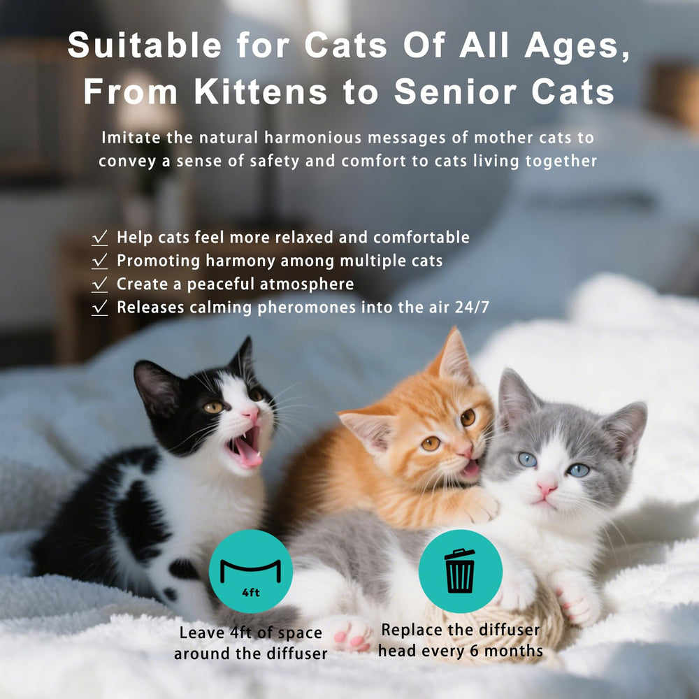 NHMFMLZW quiet kitty-relaxation scene shows unobtrusive calming in any room