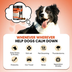NHWHDJH fireworks stress relief chews dog pack shows calming during light shows.