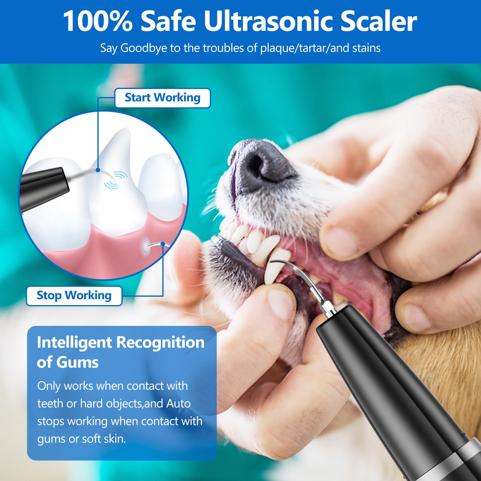 Ni-SHEN dental cleaning kit components for at-home tartar control