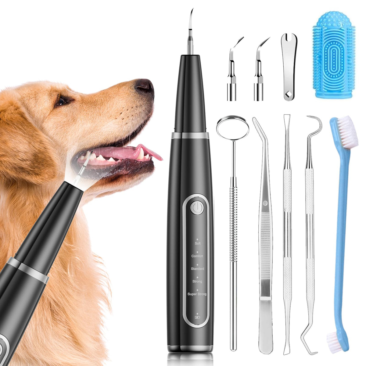 Ni-SHEN dog plaque remover in action delivering ultrasonic cleaning for safe home dental care