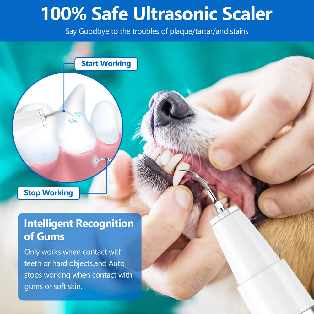 Ni-SHEN ultrasonic tooth cleaner for dogs and cats tackles tartar safely