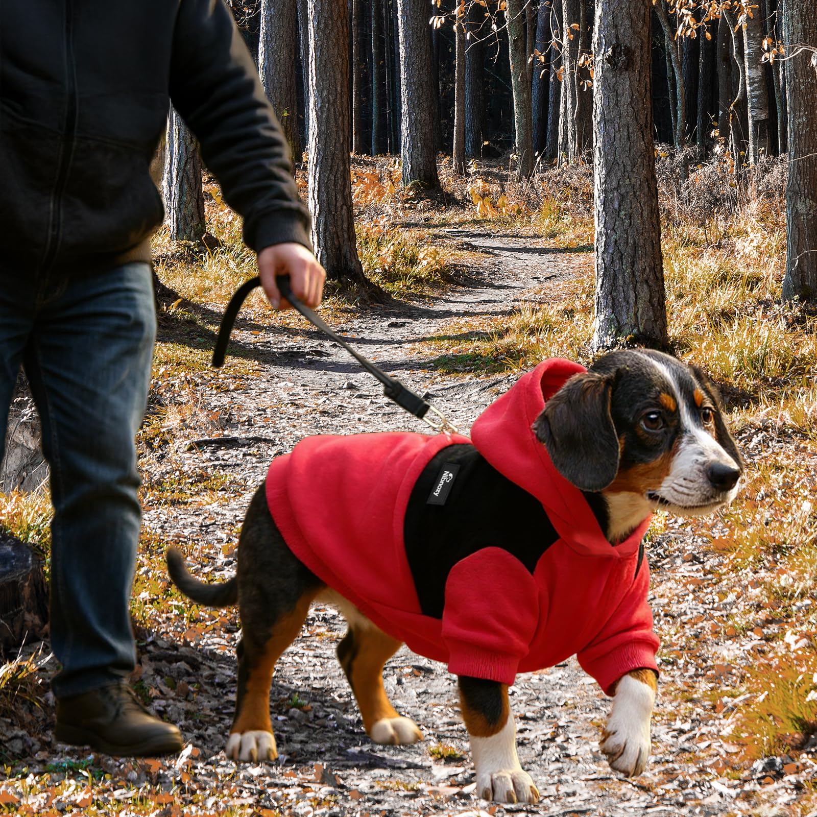 Nibnozy dog hoodie back view demonstrating durable soft fabric for everyday use.