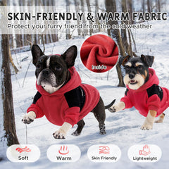 Nibnozy color-block design dog hoodie highlights trendy style for small to medium dogs.