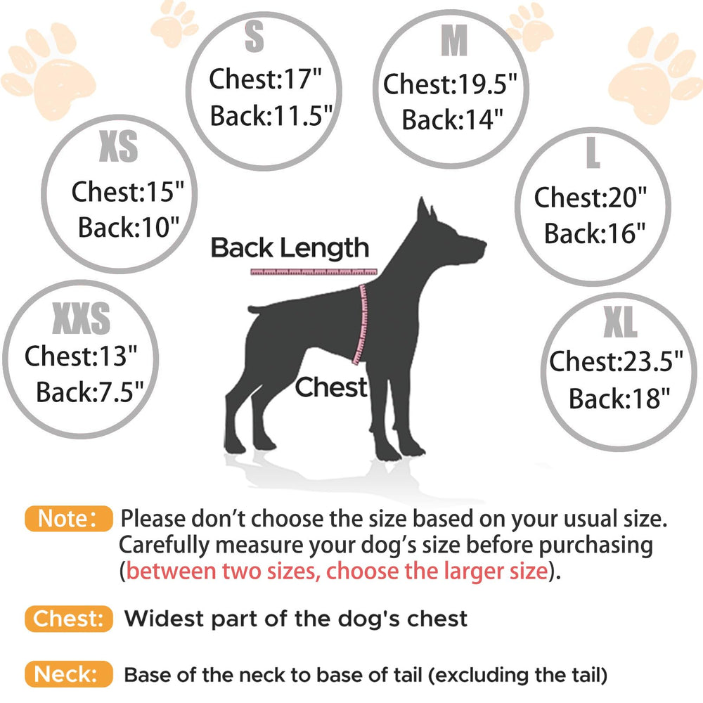 Nibnozy dog hoodie leash port demonstrates quick clip-on access during walks.