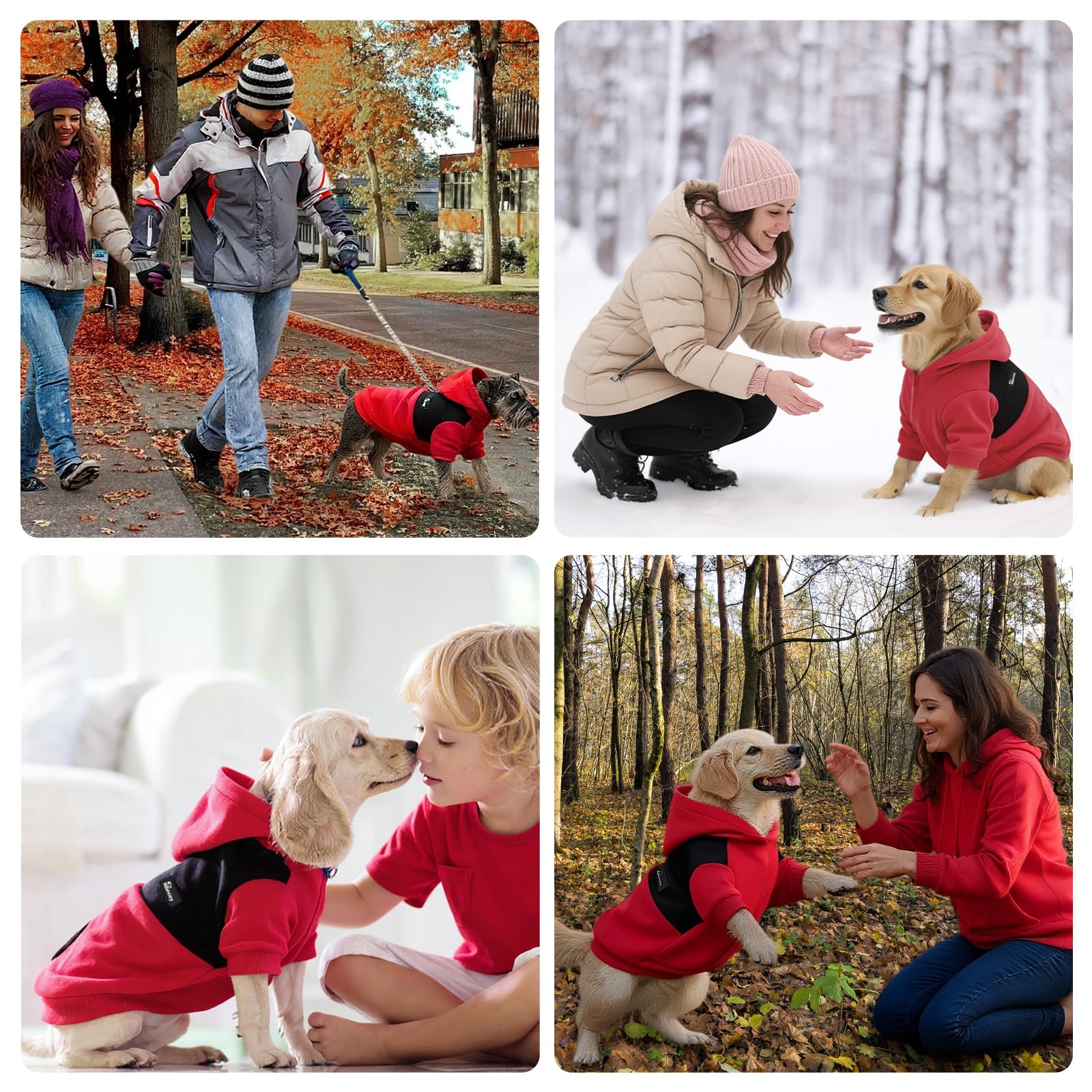 Nibnozy red and black dog hoodie on a pup, blending fashion and function during cold seasons.