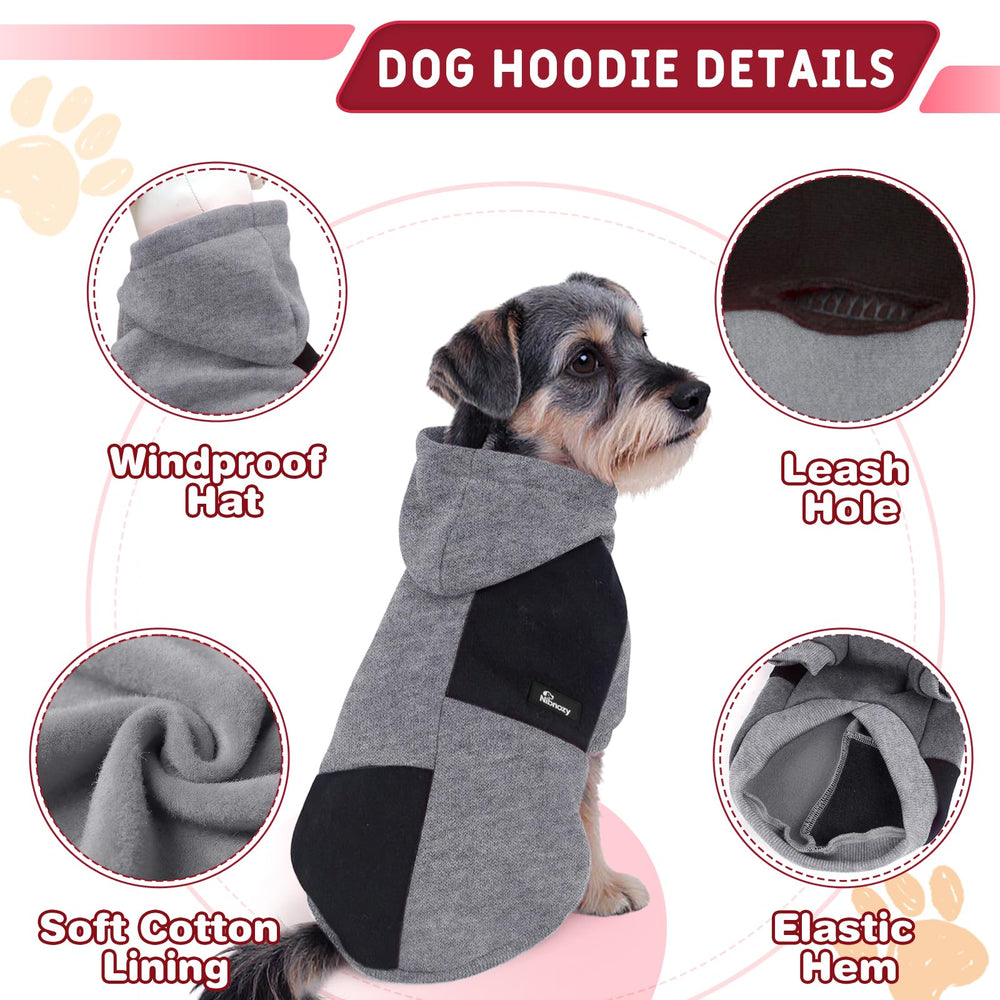 Nibnozy dog hoodie worn on a small dog during a chilly morning walk.