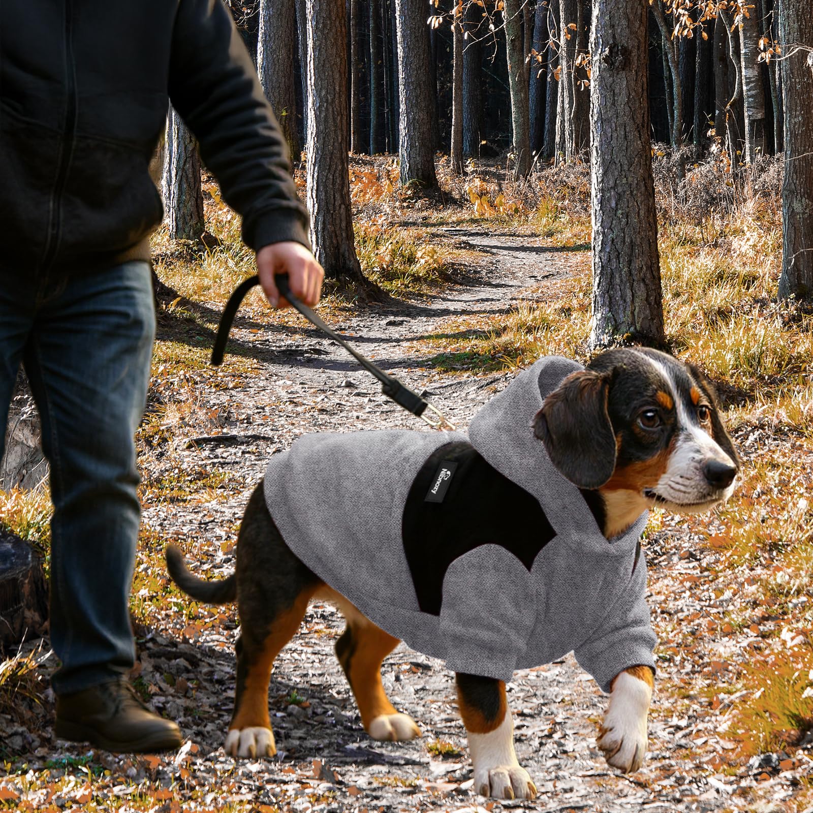 Nibnozy dog hoodie for small to medium dogs fits snugly and comfortably.