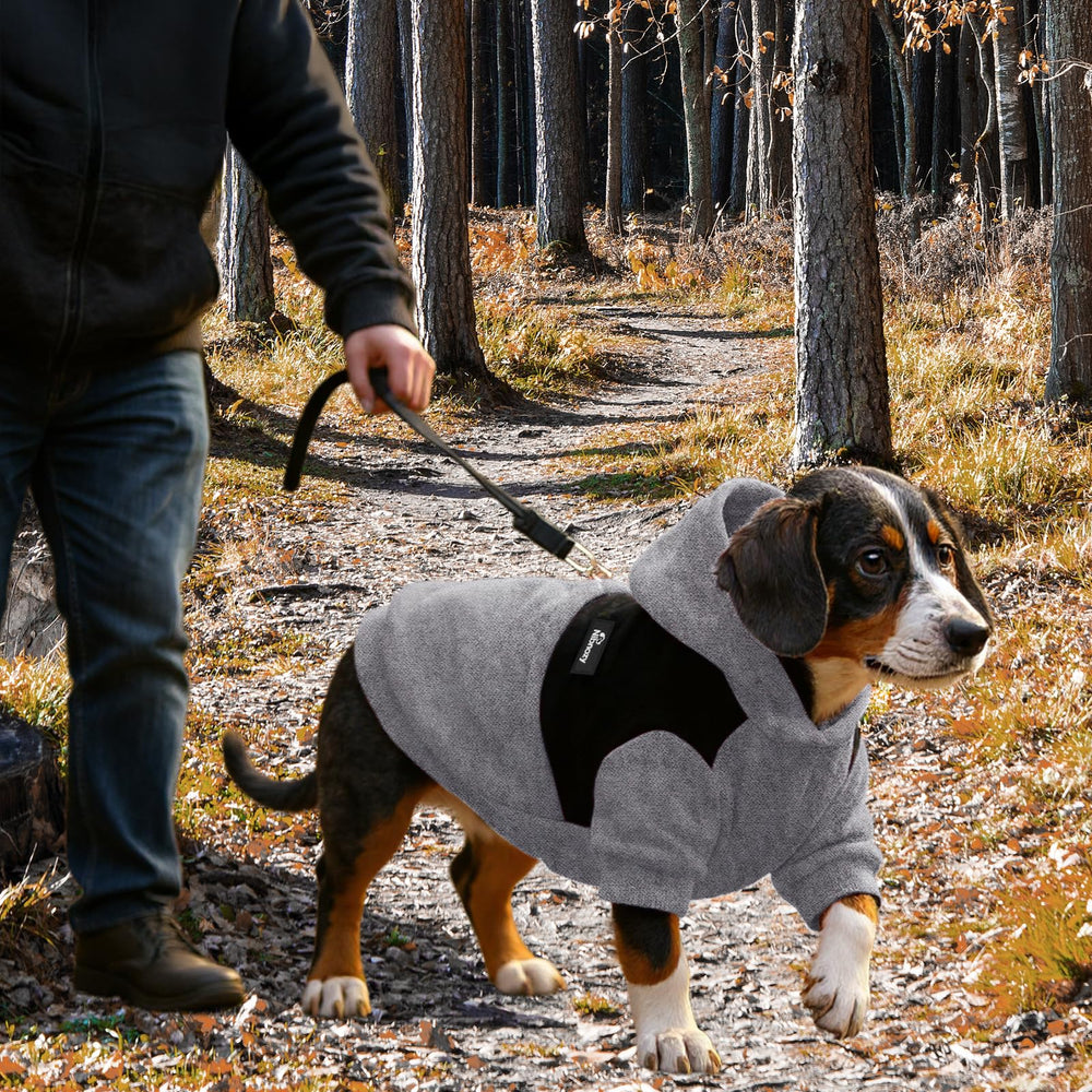 Nibnozy dog hoodie for small to medium dogs fits snugly and comfortably.