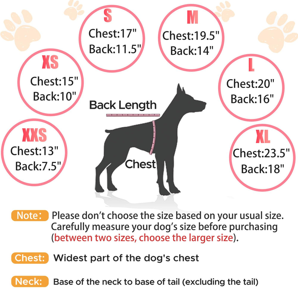 Nibnozy dog hoodie outerwear on a dog, emphasizing lightweight comfort for daily wear.