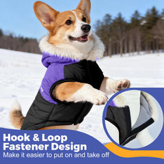 Nibnozy dog winter coat hood uses hook-and-loop closures for easy on/off.