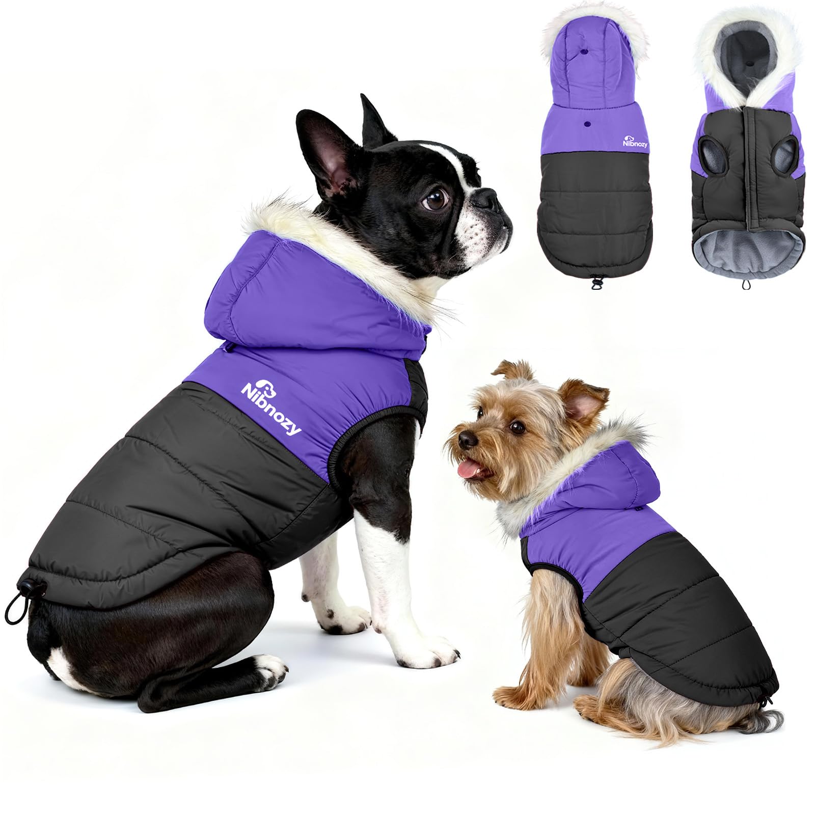 Nibnozy dog winter coat hood waterproof shell protects against rain and wind during walks.
