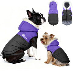 Nibnozy dog winter coat hood waterproof shell keeps your dog dry on snowy walks